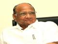 शरद पवार म्हणाले, मी पार्लमेंटमध्ये जायलाही घाबरतो...! - Marathi News | Sharad Pawar said I am afraid to even go to Parliament | Latest pune News at Lokmat.com