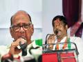 Maharashtra Politics: “कसब्यात रवींद्र धंगेकर विजयी होतील याची खात्री नव्हती”; शरद पवारांनी सांगितली ‘मन की बात’ - Marathi News | ncp sharad pawar said not confident about ravindra dhangekar victory in kasba bypoll election | Latest maharashtra News at Lokmat.com