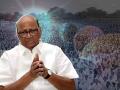 Sharad Pawar Kundali Astrology: शरद पवारांनी आळवली ‘भैरवी’, पण वेगळंच सांगतेय ‘कुंडली’; NCP चं काय होणार?, पाहा ग्रहदशा - Marathi News | astrological prediction sharad pawar declared resign and retirement from ncp president post and future plan and its impact on party | Latest bhakti Photos at Lokmat.com