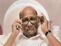 Sharad Pawar: शरद पवारांच्या बालेकिल्ल्याला सुरुंग; पुणे जिल्ह्यात अवघ्या एका जागेवर तुतारी वाजली, दिग्गज पराभूत! - Marathi News | Maharashtra Assembly Election 2024 Result Live Updates set back for ncp sharad pawar in pune district | Latest pune News at Lokmat.com