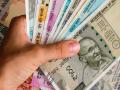 Share Market: गुंतवणूकदार मालामाल! 5 रुपयांचा शेअर 200 पार, 1 लाखाचे झाले 43 लाख - Marathi News | Share Market | A share of Rs 5 has become rs. 200 , 1 lakh become 43 lakhs | Latest business News at Lokmat.com