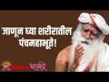जाणून घ्या शरीरातील पंचमहाभूते! - Marathi News | Know the five great beings in the body! Know the Panchabhutas in the body! | Sadhguru | Lokmat Bhakti | Latest bhakti Videos at Lokmat.com