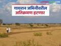 Gayran Jamin : राज्यातील गायरान जमिनींबाबत महत्वाचा शासन निर्णय आला, वाचा सविस्तर  - Marathi News | Latest news gaiyran Jamin Important government decision regarding gairan jamin in maharashtra read in detail | Latest agriculture News at Lokmat.com