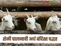 Goat Farming : शेळी पालनाची अर्ध बंदिस्त पद्धत फायद्याची की तोट्याची? वाचा सविस्तर  - Marathi News | Latest News Goat Farming Is semi-enclosed method of goat farming beneficial or detrimental Read in detail | Latest agriculture News at Lokmat.com