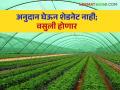 Shednet scheme : योजनेचा लाभ घेतांना उभारणी करणे गरजेची  - Marathi News | It is necessary to build while availing the benefit of the scheme  | Latest agriculture News at Lokmat.com