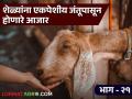 Goat Farming Disease : शेळ्यांतील रक्ती हगवण, लाल लघवी आजारावर उपचार काय? जाणून घ्या सविस्तर  - Marathi News | Latest News Goat Farming disease Treatment for bloody diarrhea in goats, red urine disease Learn in detail | Latest agriculture News at Lokmat.com