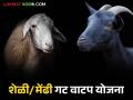 शेळ्या व मेंढ्या खरेदी योजनेसाठी ऑनलाईन अर्ज प्रक्रिया सुरु; जाणून घ्या सविस्तर - Marathi News | Online application process for purchasing goats and sheep through this scheme of Animal Husbandry Department has started; Know the details | Latest agriculture News at Lokmat.com