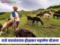 Yashwantrao Holkar Agriculture Scheme : राजे यशवंतराव होळकर महामेष योजनेते बदल, नवीन शासन निर्णय काय?  - Marathi News | Latest News Agriculture Scheme Raje Yashwantrao Holkar Mahamesh Yojana changes check new GR | Latest agriculture News at Lokmat.com