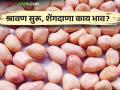Shravan Mahina Peanut Price : श्रावण महिन्याला सुरवात, शेंगदाणा, साबुदाण्याला काय भाव? वाचा सविस्तर  - Marathi News | Latest News Shravan Mahina price of peanuts, sabudana Read in detail  | Latest agriculture News at Lokmat.com
