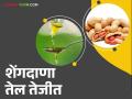 Bhuimug Bajar Bhav : शेंगदाणा तेलाला तेजी; पण भुईमूग शेंगांना मंदी - Marathi News | Bhuimug Bajar Bhav : Groundnut oil booms; but groundnut pods slump | Latest agriculture News at Lokmat.com