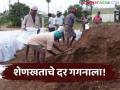 Shenkhat Price : शेतीत बदलता ट्रेंड; शेणखताचे दर ऐकून थक्क व्हाल! - Marathi News | latest news Shenkhat Price: Changing trends in agriculture; You will be surprised to hear the prices of cow dung | Latest agriculture News at Lokmat.com