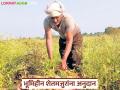 भूमिहीन शेतमजुरांच्या अनुदान योजनेचा निधी आला, पहा जिल्हानिहाय किती रुपये मिळणार! - Marathi News | Latest News Funds for the grant scheme for landless agricultural laborers have arrived, see district-wise anudan | Latest agriculture News at Lokmat.com
