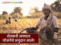 शेतकरी अपघात योजनेच्या 31 कोटींच्या निधी वाटपास मान्यता, 'या' प्रस्तावांना मिळणार अनुदान - Marathi News | Latest News Approval for allocation of funds of Rs 31 crore for the Farmers Accident Scheme | Latest agriculture News at Lokmat.com