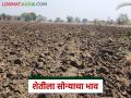 शेतीला चांगले दिवस येणार? मागील ४० वर्षांपासून कसे वाढत गेले शेतजमिनीचे भाव; वाचा सविस्तर - Marathi News | Will agriculture have better days? How have agricultural land prices increased over the last 40 years; Read in detail | Latest agriculture News at Lokmat.com