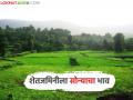 जमिनीला आलाय सोन्याचा भाव; शेतजमिनी विकण्याकडे शेतकऱ्यांचा का वाढतोय कल? वाचा सविस्तर - Marathi News | Land has become worth gold; Why are farmers increasingly inclined to sell their farmland? Read in detail | Latest agriculture News at Lokmat.com