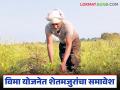 आता शेतमजूरांचाही अपघात झाल्यास दोन लाखांपर्यंत अनुदान, वाचा योजनेची संपूर्ण माहिती  - Marathi News | Latest News accident occurs to agricultural laborers, a subsidy of up to two lakhs will be given, read the complete details of the scheme | Latest agriculture News at Lokmat.com