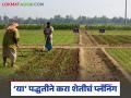 Agriculture Planning Tips : शेतकऱ्यांनो, संकटे आहेतच; 'या' पद्धतीने करा शेतीचं प्लॅनिंग - Marathi News | latest news Agriculture Planning Tips: Farmers, there are crises; Plan your agriculture in this way | Latest agriculture News at Lokmat.com