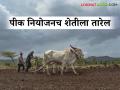 आपल्या मालाचा भाव ठरविण्याचा अधिकार नसलेला एकमेव व्यवसाय म्हणजे 'शेती'; यात होईल का बदल? - Marathi News | Agriculture is the only business where the producer does not have the right to set the price of his product; will this change? | Latest agriculture News at Lokmat.com