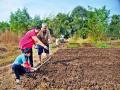 मातीशी नातं सांगणारं, शेतीभान ! - Marathi News | Talk to the soil, farming! | Latest manthan News at Lokmat.com