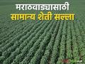 Agro Advisory : कोरड्या हवामानात अशी घ्या पिकांची काळजी - Marathi News | Agro Advisory: Take care of crops in dry weather like this | Latest agriculture News at Lokmat.com