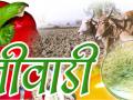 कृषी प्रदर्शनीतून मिळतेय रोज शेतीविषयक माहिती - Marathi News |  Agricultural information on daily basis from agricultural exhibition | Latest hingoli News at Lokmat.com