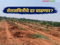 शेतजमिनी अजून महाग होणार; पुढील आर्थिक वर्षांसाठी ग्रामीण भागातही रेडीरेकनर दर वाढणार? - Marathi News | Agricultural land will become even more expensive; Will the ready reckoner rate increase in rural areas for the next financial year? | Latest agriculture News at Lokmat.com