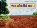 शेतकऱ्यांच्या बांधावर जाऊन शेतजमिनीचे वाटप, दक्षिण सोलापुरच्या या तहसीलदारांचा अनोखा उपक्रम; वाचा सविस्तर - Marathi News | Allocating agricultural land by going to farmers bunds, a unique initiative of this Tehsildar of South Solapur; Read in detail | Latest agriculture News at Lokmat.com