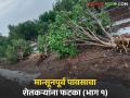 Avakali Paus: पावसाने फक्त माती नाही ओली केली, तर स्वप्नंही भिजवली! वाचा सविस्तर - Marathi News | latest news Avakali Paus: The rain not only moistened the soil, but also soaked dreams! Read in detail | Latest agriculture News at Lokmat.com