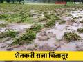 डोळ्यांदेखत पिकांचे नुकसान; शेतकरीराजा चिंतातूर काय करावे सुचेना? - Marathi News | loss of crops on the eye; Farmer Raja Chintatur What to do? | Latest agriculture News at Lokmat.com