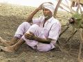 पावसाने दडी मारल्याने शेतकरी हवालदिल - Marathi News | Harvesting farmers by raining hail | Latest nashik News at Lokmat.com