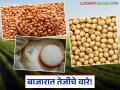 Shetmal Bajarbhav : शेतीमाल दर अपडेट: बाजारात तेजीचे वारे वाचा सविस्तर - Marathi News | latest news Shetmal Bajarbhav: Agricultural commodity price update: bullish winds in the market, read in detail | Latest agriculture News at Lokmat.com