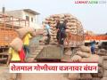शेतमाल बाजार समितीत विकताना गोणीची वजनमर्यादा ठरली; आता किती किलोची राहणार गोणी? - Marathi News | The weight limit of sacks has been fixed while selling them in the Agricultural Market Committee; now how many kgs will the sack weigh? | Latest agriculture News at Lokmat.com