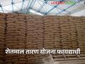 शेतमालाचे बाजारभाव उतरले तर घ्या योजनेचा लाभ वाचा सविस्तर - Marathi News | If the market price of agricultural products falls, take the benefits of the scheme, read in detail | Latest agriculture News at Lokmat.com