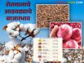 Agriculture News : मागील आठवड्यात तूर, सोयाबीन, कापूस, कांदा बाजार कसे राहिले? वाचा सविस्तर - Marathi News | Latest News Market yard Update see tur, soybean, cotton, and onion markets fare last week Read in detail | Latest agriculture News at Lokmat.com