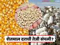 Market Update : 'ट्रेड डील'चा फटका! कापूस, सोयाबीन, मक्याच्या दरात ७ ते १० टक्क्यांची घसरण वाचा सविस्तर - Marathi News | latest news Market Update: 'Trade Deal' Hit! Cotton, soybean, corn prices fall by 7 to 10 percent Read in detail | Latest agriculture News at Lokmat.com