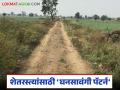 Baliraja Shet Panand Road Scheme : 'घनसावंगी पॅटर्न' ठरतोय आदर्श; २०५ किमी शेतरस्त्यांचे होणार मजबुतीकरण - Marathi News | latest news Baliraja Shet Panand Road Scheme: 'Ghansawangi pattern' is becoming the ideal; 205 km of roads will be strengthened | Latest agriculture News at Lokmat.com