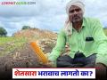 किती आणेवारी असल्यावर शेतसारा माफ होतो अन् शेतसारा नाही भरला तर...  - Marathi News | Latest news Shet Sara Land tax is a type of tax that farmers have to pay to the government on agricultural land | Latest agriculture News at Lokmat.com