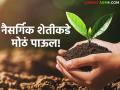 Natural Farming : अकोल्यात राज्यातील पहिली नैसर्गिक शेतीशाळा; विषमुक्त शेतीकडे मोठे पाऊल - Marathi News | latest news Natural Farming: The first natural farming school in the state in Akola; A big step towards poison-free farming | Latest agriculture News at Lokmat.com