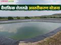 शेततळ्यात प्लॅस्टिक अस्तर बसविण्यासाठी आकारमाननिहाय किती अनुदान मिळते, वाचा सविस्तर - Marathi News | Latest News Up to 50 percent subsidy for installing plastic lining in farm ponds, | Latest agriculture News at Lokmat.com