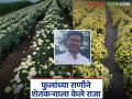हातची चांगली नोकरी गेली मग शेतीचा नाद केला; शेवंतीच्या फुलशेतीने राहुल झाला लखपती - Marathi News | He lost his good job and then took up farming; Rahul became a millionaire through chrysanthemum flower farming | Latest agriculture News at Lokmat.com