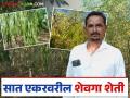 Shevga Farming : नांदगावच्या शेतकऱ्याने कांदा, कापसाला बाजूला सारलं, आता शेवगा देतोय लाखो रुपये - Marathi News | Latest News Shevga Farming Nandgaon farmer gave up onion and cotton, now Shevga farming lakhs of rupees income | Latest agriculture News at Lokmat.com