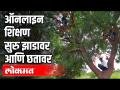 झाडावर आणि छतावर बसून ऑनलाईन क्लासेस | Struggle For Online Education | Varsha Gaikwad | CM Thackeray - Marathi News | Online classes sitting on a tree and roof. | Struggle For Online Education | Varsha Gaikwad | CM Thackeray | Latest politics Videos at Lokmat.com