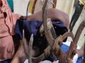Kolhapur: रोटावेटरचे नांगे मांडीत घुसले, बेशुद्ध अवस्थेत नांग्यासह रुग्णालयात आणले; नशीब बलवत्तर युवक बचावला - Marathi News | A youth from Shirgaon kolhapur who was seriously injured in a rotavator was rescued | Latest kolhapur News at Lokmat.com