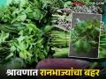 Ranbhaji : श्रावणात बहरला रानभाज्यांचा हंगाम; पौष्टिकतेचा खजिना विक्रीसाठी बाजारामध्ये दाखल - Marathi News | Ranbhaji : The season of wild vegetables blossoms in Shravan; The treasure trove of nutrients is available in the market for sale | Latest agriculture News at Lokmat.com