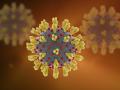 Coronavirus in Chandrapur; चंद्रपूर जिल्ह्यात कोरोना पॉझिटिव्हचा आलेख घसरला - Marathi News | Coronavirus in Chandrapur; Corona positive graph dropped in Chandrapur district | Latest chandrapur News at Lokmat.com