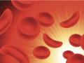 अकोला जिल्ह्यात सिकलसेलचे १४२ पॉझिटिव्ह ! - Marathi News | 142 positive for sickle cell in Akola district! | Latest akola News at Lokmat.com