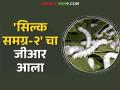 सिल्क समग्र-२ योजनेचे अनुदान वितरीत करण्यासाठी शासनाची मंजुरी; वाचा सविस्तर निर्णय - Marathi News | Government approval to distribute subsidy for Silk Samagra-2 scheme; Read in detail | Latest agriculture News at Lokmat.com