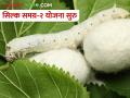 रेशीम उद्योगाच्या विकासासाठी सिल्क समग्र-२ योजनेला मान्यता - Marathi News | Approval of Silk Samagra-II scheme for development of silk industry | Latest agriculture News at Lokmat.com