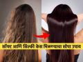 कोरफडीचा गर ‘असा’ लावा केसांना आणि धुवून टाका, सॉफ्ट सिल्की केसांसाठी एकदम सोपा उपाय - Marathi News | Before washing your hair apply aloe vera gel rough and frizzy hair will become silky soft | Latest sakhi News at Lokmat.com