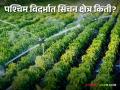 Irrigation News : पश्चिम विदर्भातील सिंचित क्षेत्र किती; लागवड क्षेत्र किती?  - Marathi News | Irrigation News : How much irrigated area in West Vidarbha; How much planting area?  | Latest agriculture News at Lokmat.com
